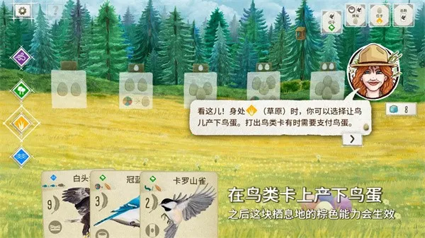 չ�᰿��2026�ٷ����°汾