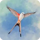 չ�᰿��2026�ٷ����°汾v1.5.546 ��׿��