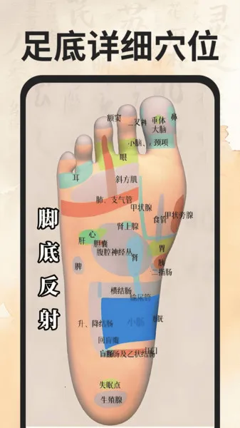 Ѩλ����ͼ��(Ѩλ����ѧϰƽ̨)v1.0.0 ��Ѱ�