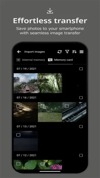 GR WORLD2026�ٷ����°汾