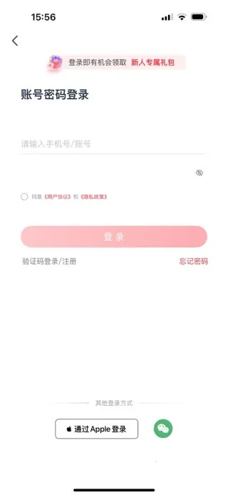 ��·����