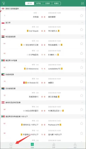 DS���������ֻ���