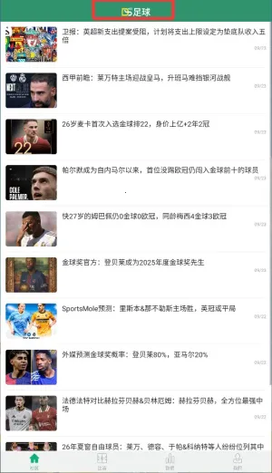 DS���������ֻ���