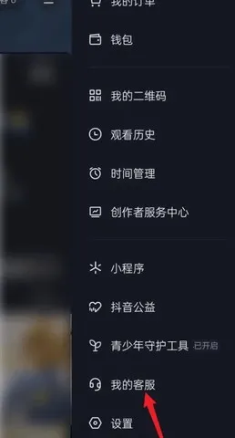 ����ֱ������2026�ٷ����°汾