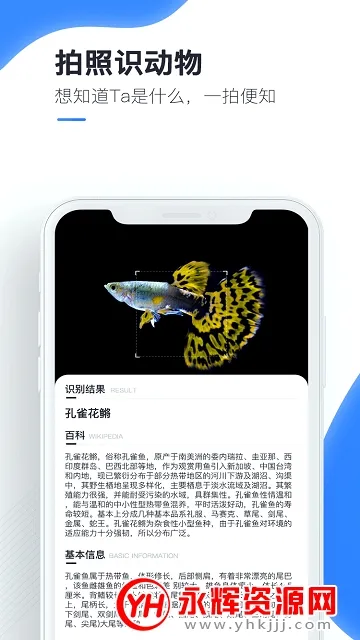 �ٿ�ɨ����2026���°汾