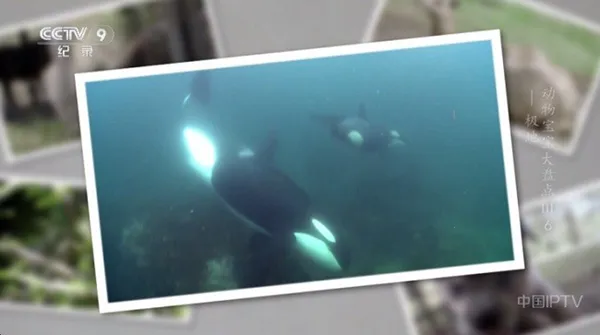 �������2026���°汾v2.3.3 ��׿��