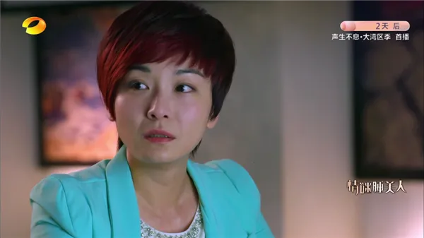 �������2026���°汾