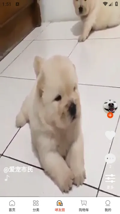 ��С��2026�ٷ����°汾v1.0.9 ��Ѱ�