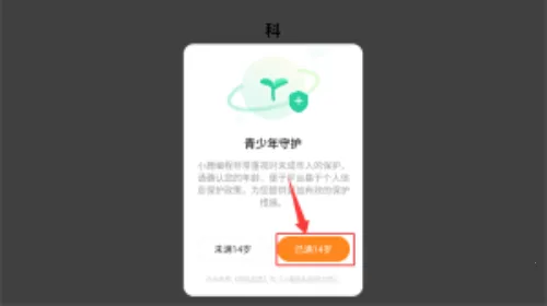 С¹������̿�