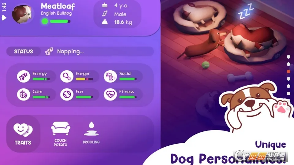 �������Ƶ�2026�ٷ����°汾