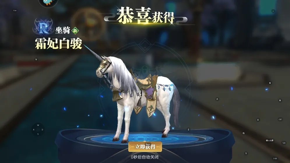 �񼣾���2026�ٷ�����