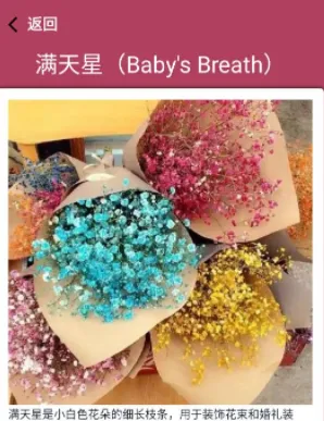 ������ʶ2026�ٷ�����