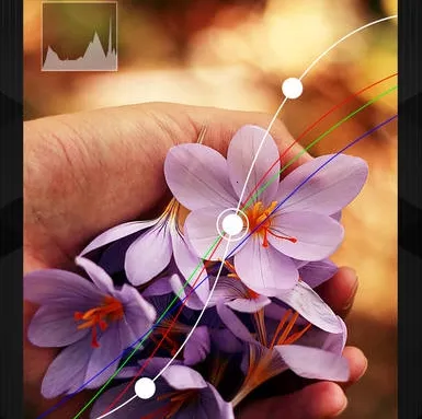 mix�˾�2026���°汾