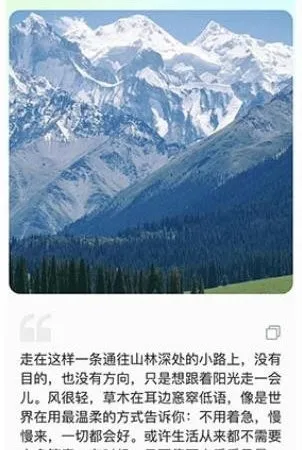 ��ý�����Ŵ������������ֻ���