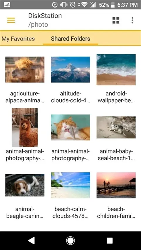 DSfilev4.17.2 �ֻ���