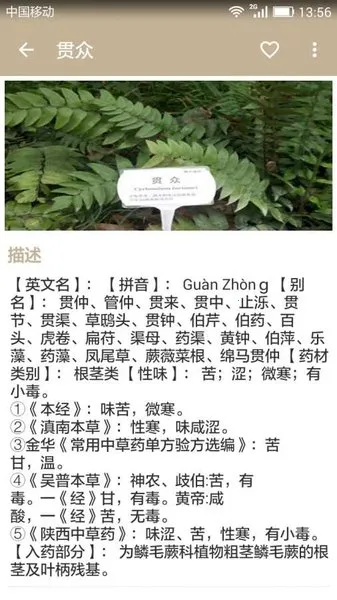 �в�ҩ����