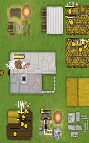 ֳ���������