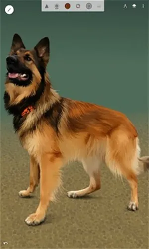 ���޻滭v7.4.01 ��׿��