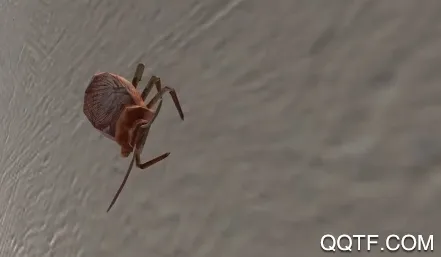 ���ģ����