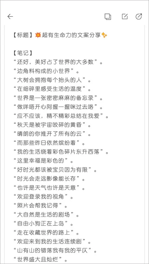 �����2026���°汾