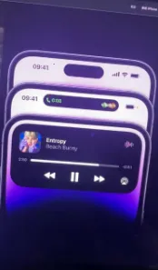 ��׿�鶯��