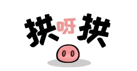 ��ѽ��2026���°汾