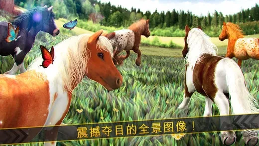 �����п������ֻ���v1.0 ��׿��