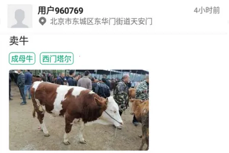 ���ţ2026���°汾