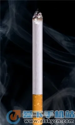 ��������2026���ذ�װv2.1 ��Ѱ�