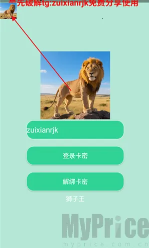 狮子王最新手机版 狮子王最新手机版