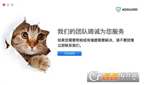 adguard�ƽ��v4.13.7 �ٷ�����