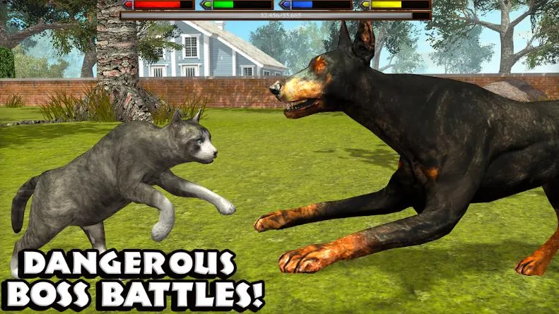 �ռ�èģ����2026���°汾v1.1 �ֻ���