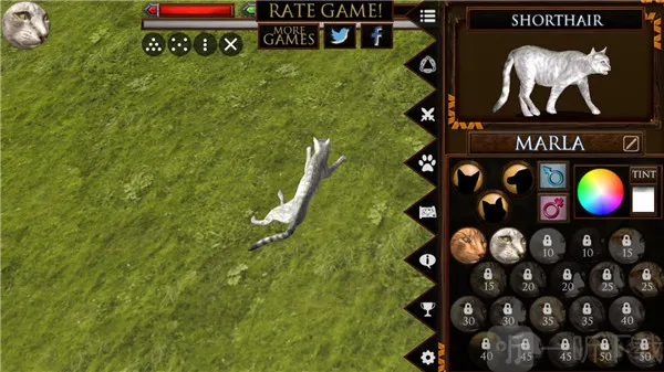 �ռ�èģ����