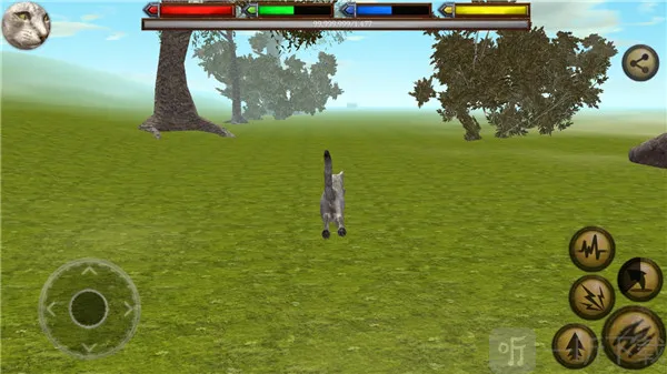 �ռ�èģ����