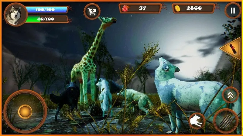 ����ģ����v1 �ٷ�����