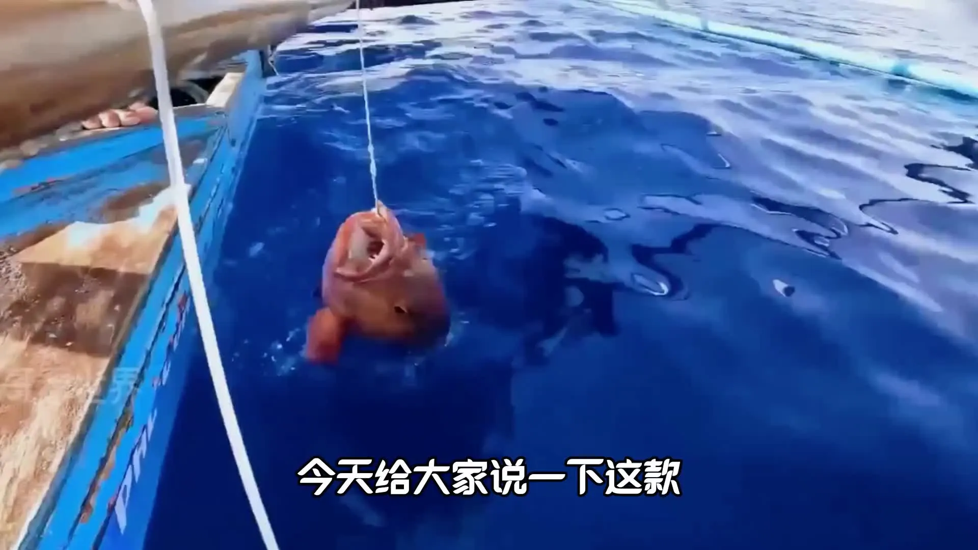 �����ʦ�����ò˵�v1.0 ��Ѱ�