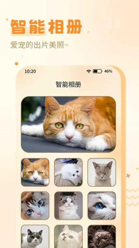 喵人猫语(猫语互动工具) 喵人猫语(猫语互动工具)