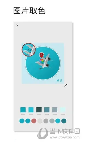 观色配色2026官方最新版本 观色配色2026官方最新版本