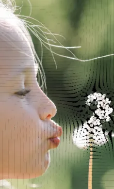 ��������ģ��2026�ٷ�����v0.981 ��׿��