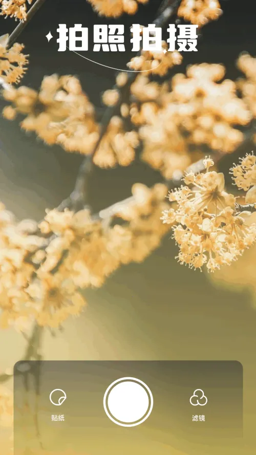 ���������ٷ�����v0.3.0 ��Ѱ�