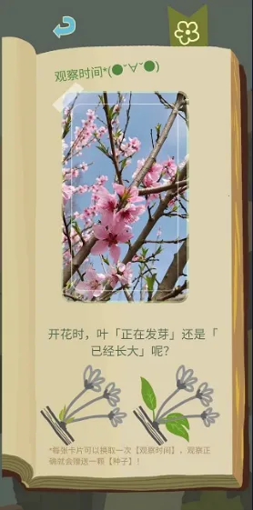 ��ũ������������2026�ٷ����°汾