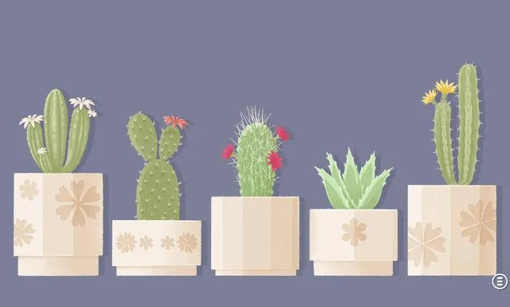 往左一点：看星星2026官方最新版本截图