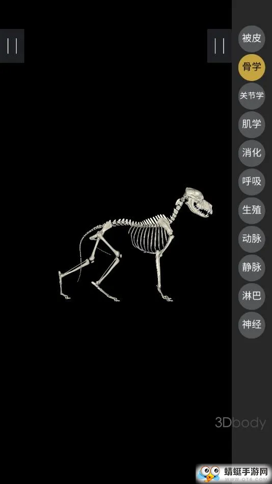 3dbody��������v8.8.72 �ֻ���