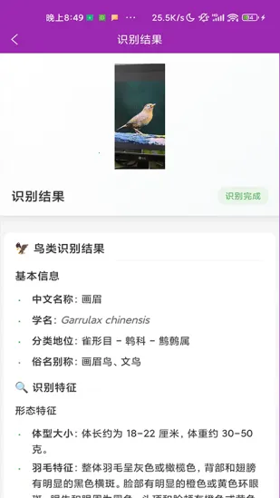 ʶ��(����ʶ�𹤾�)v1.1.0 ��׿��