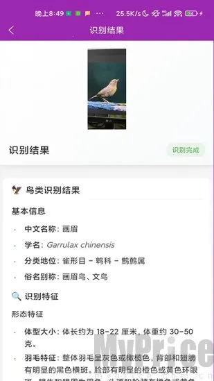 ʶ��(����ʶ�𹤾�)