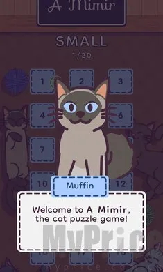 ���׶�2026�ٷ�����