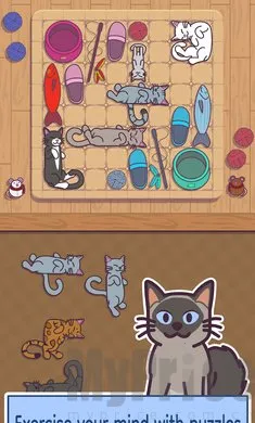 ���׶�2026�ٷ�����