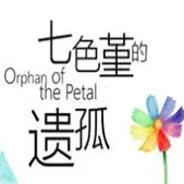 ��ɫ�����Ź�2026�ٷ����°汾v1.2 ��׿��