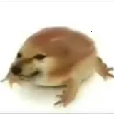 �ҵĵ������ư�2026���°汾v1.0 ��׿��