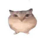 �ͰͲ�һ(δ�ἰ�����޷�����)v1.0 ��׿��